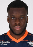 스테피 마비디디