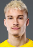 폰투스 Almqvist