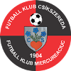 FCSB