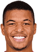 마르셀루 라이언