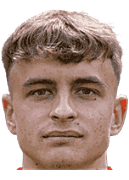 니콜라스 베라치니히