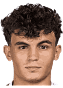 스테판 바이세티치